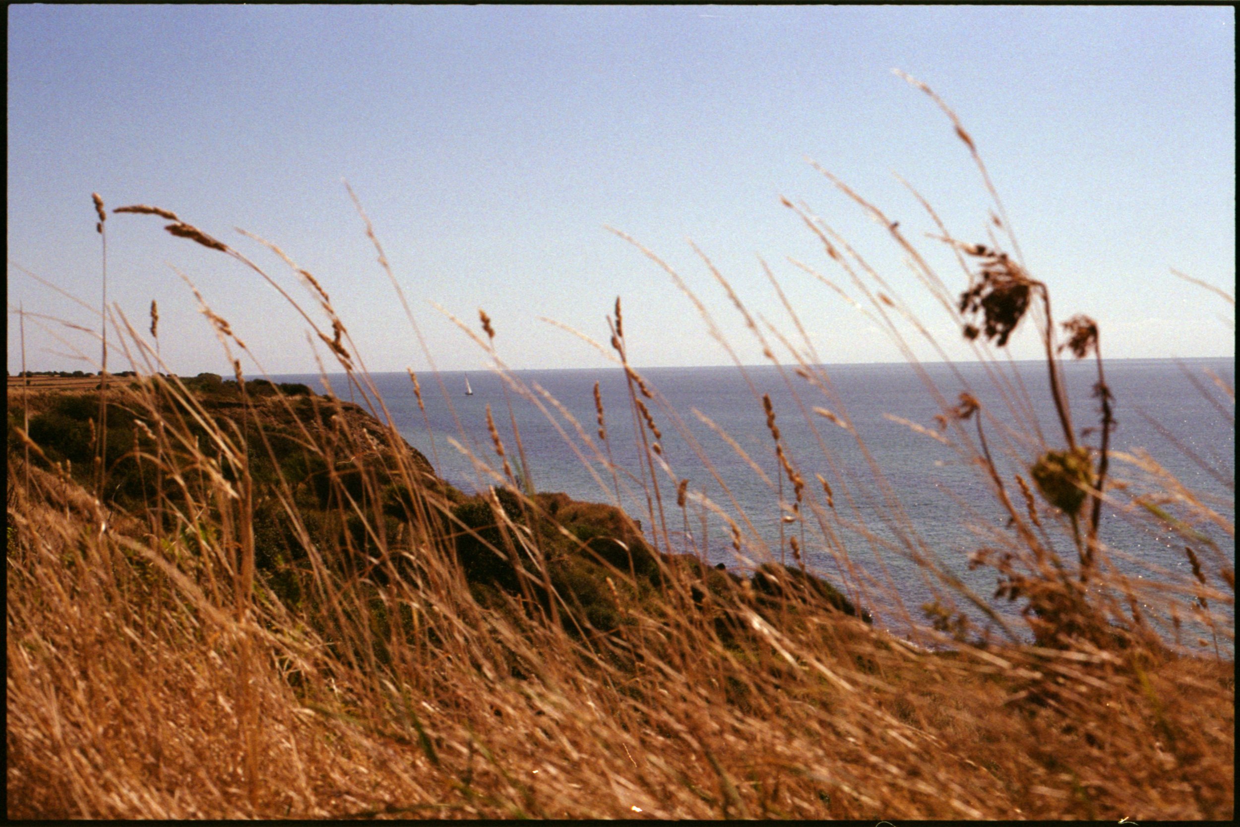 2026-08-25 Dänemark FE2_KodakColorPlus200_21.jpg