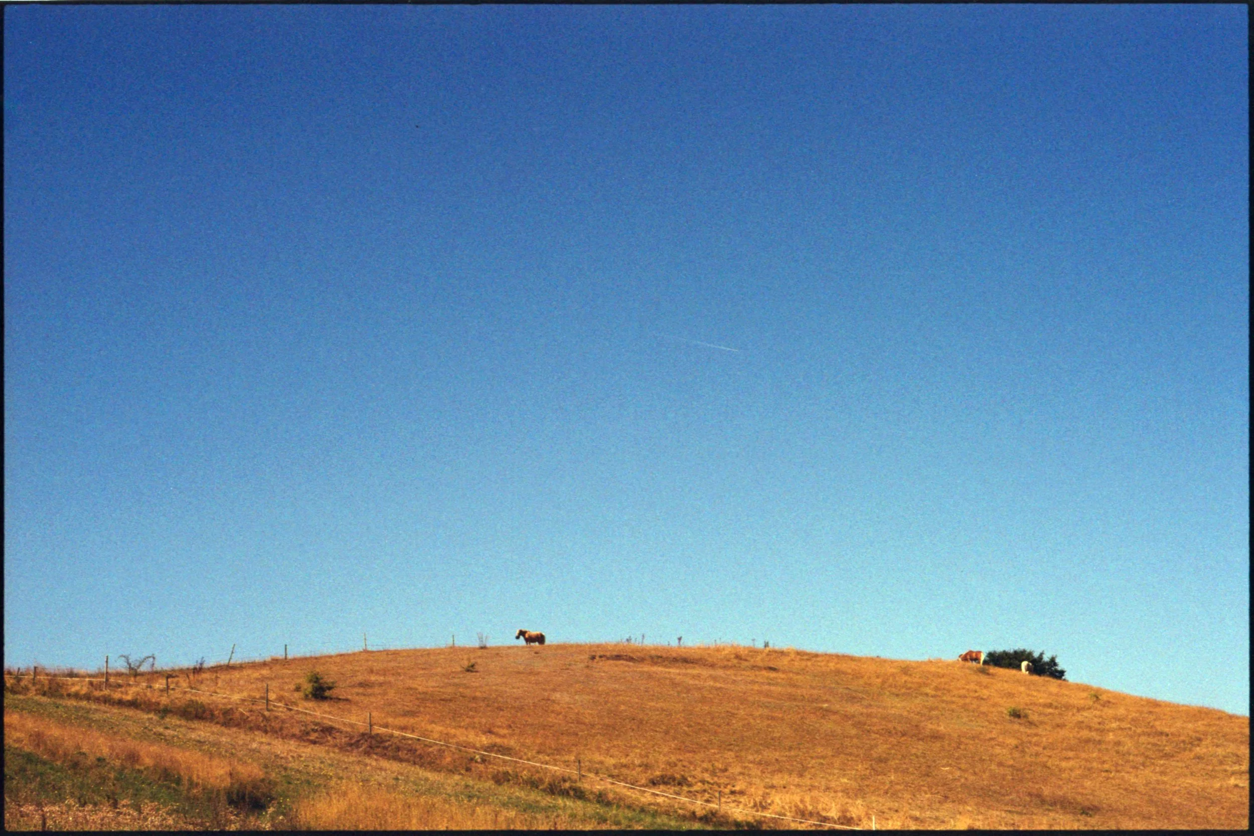 2026-08-25 Dänemark FE2_KodakColorPlus200_12.jpeg