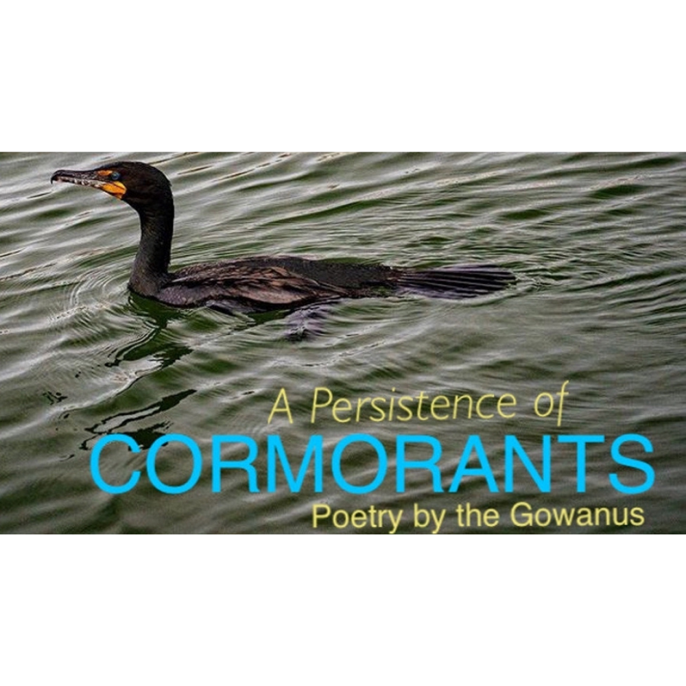 A Persistence of Cormorants Reading