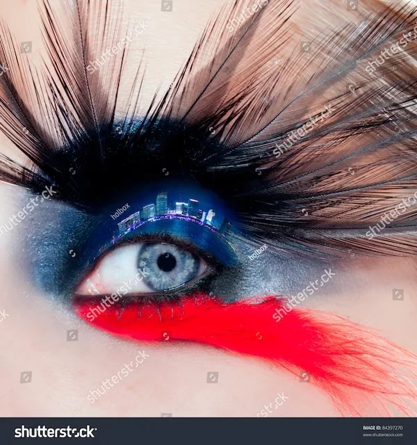 plumage eye.webp