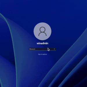 Access Manager — Lithnet