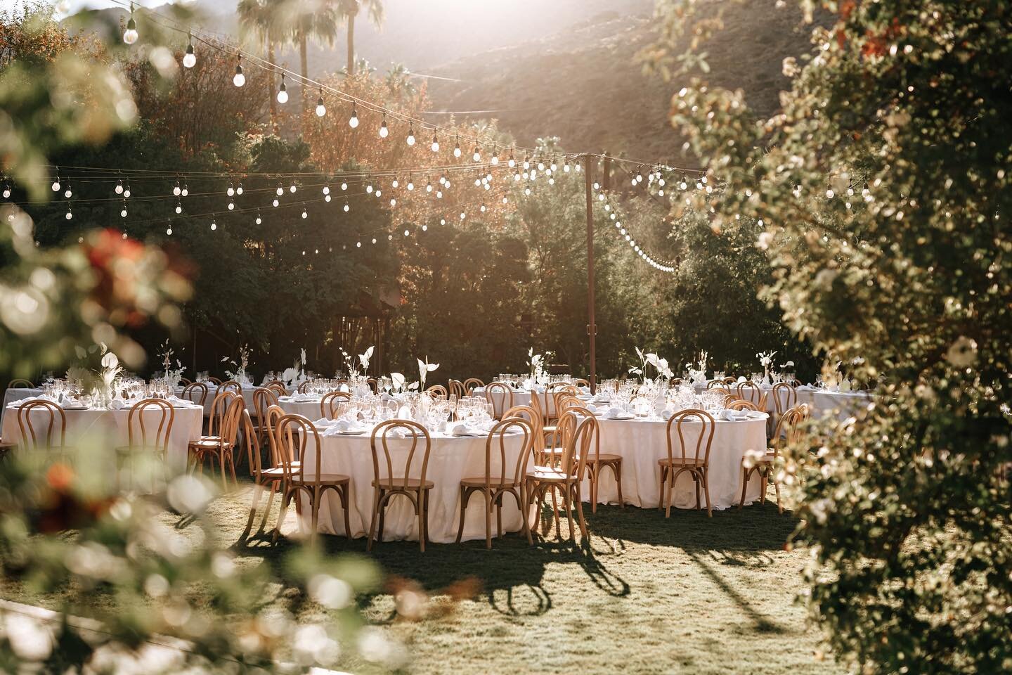 We loved designing Pax and Judy&rsquo;s desert dream! With a focus on monochromatic whites and neutrals, these modern design elements elevated the beautiful Palm Springs setting perfectly. #stylishdetailsevents

Wedding Planning + Design @stylishdeta