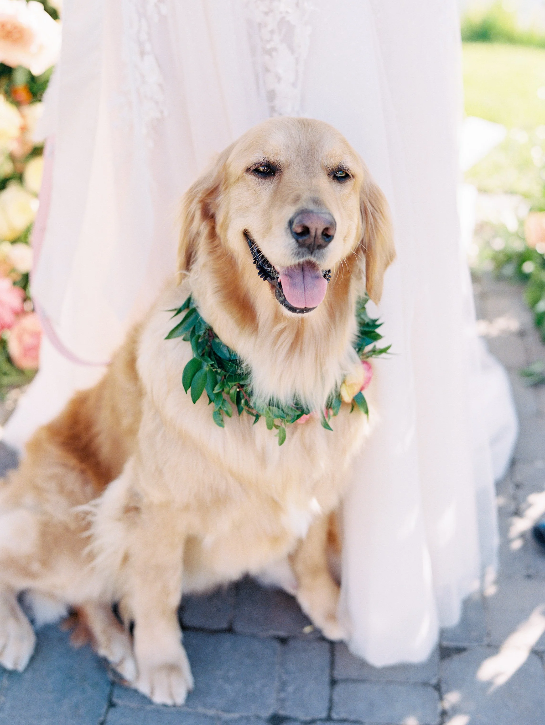 rbr wedding_-268.jpg