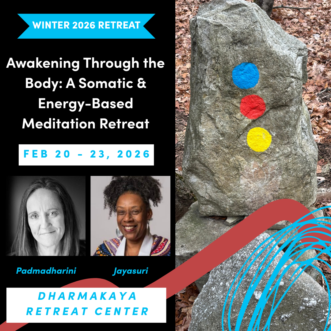 Awakening Through the Body: A Somatic & Energy-Based Meditation Retreat (Triratna Winter Retreat)