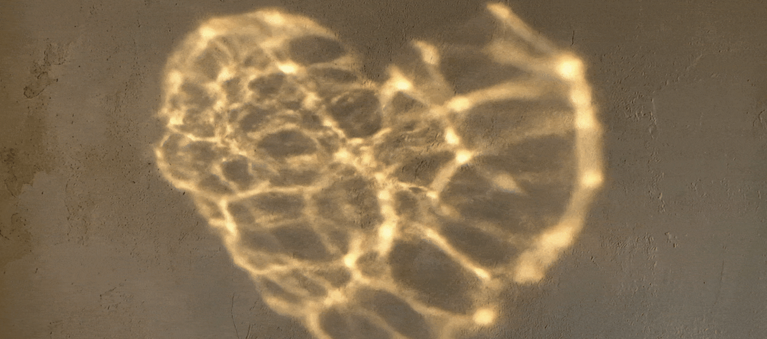 Love and Insight: A Meditation Weekend Retreat with Bodhipaksa (International Event)