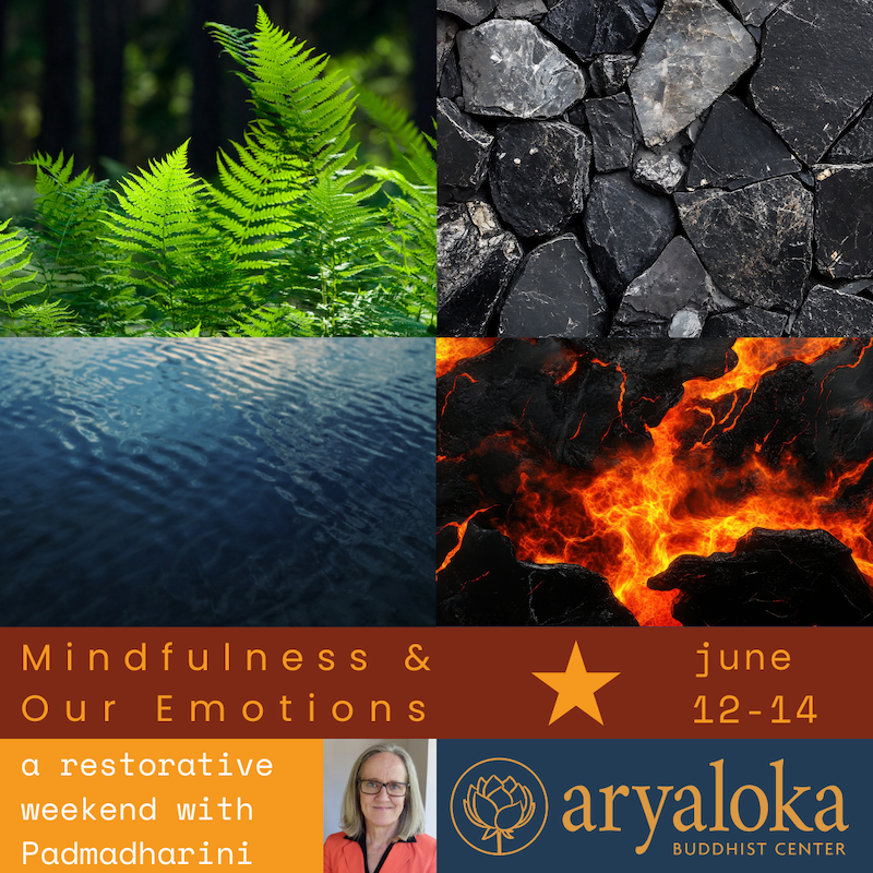 Mindfulness &amp; Our Emotions — A Restorative Weekend with Padmadharini