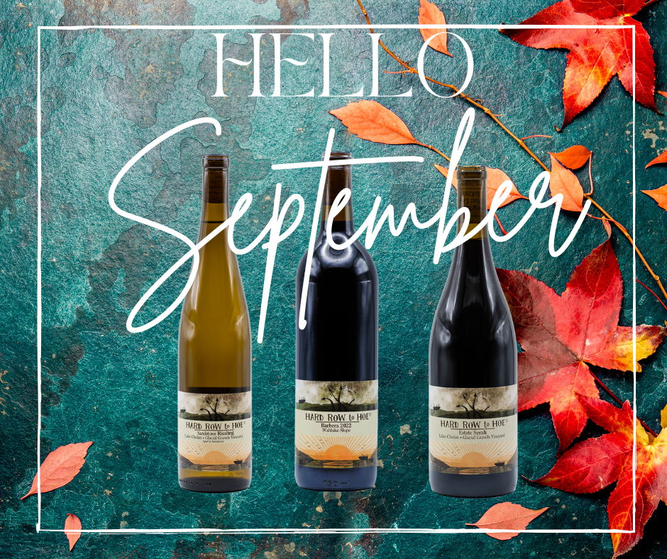 The September Trio: Barbera, Syrah & Sandstone Riesling