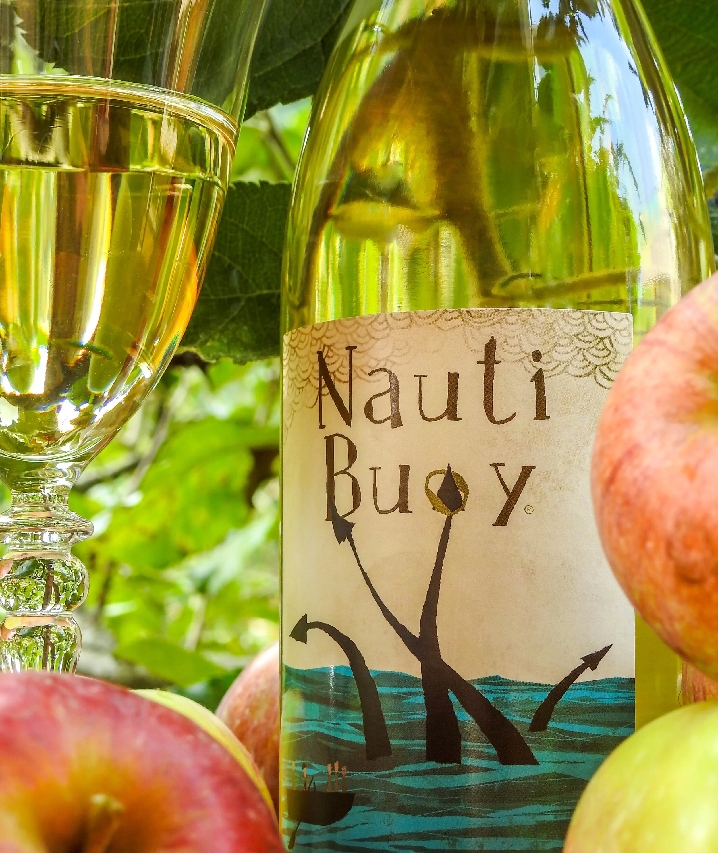 New Wines for March Release
