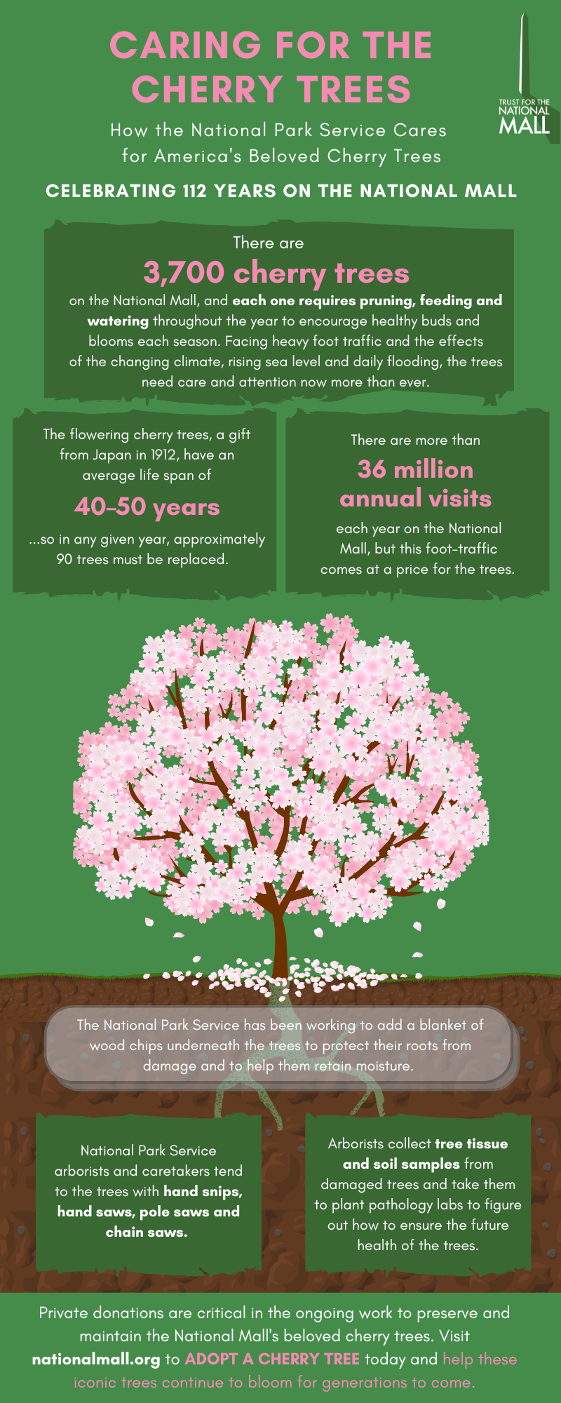 Cherry Tree Program Cherry Tree Care — #BloomCam