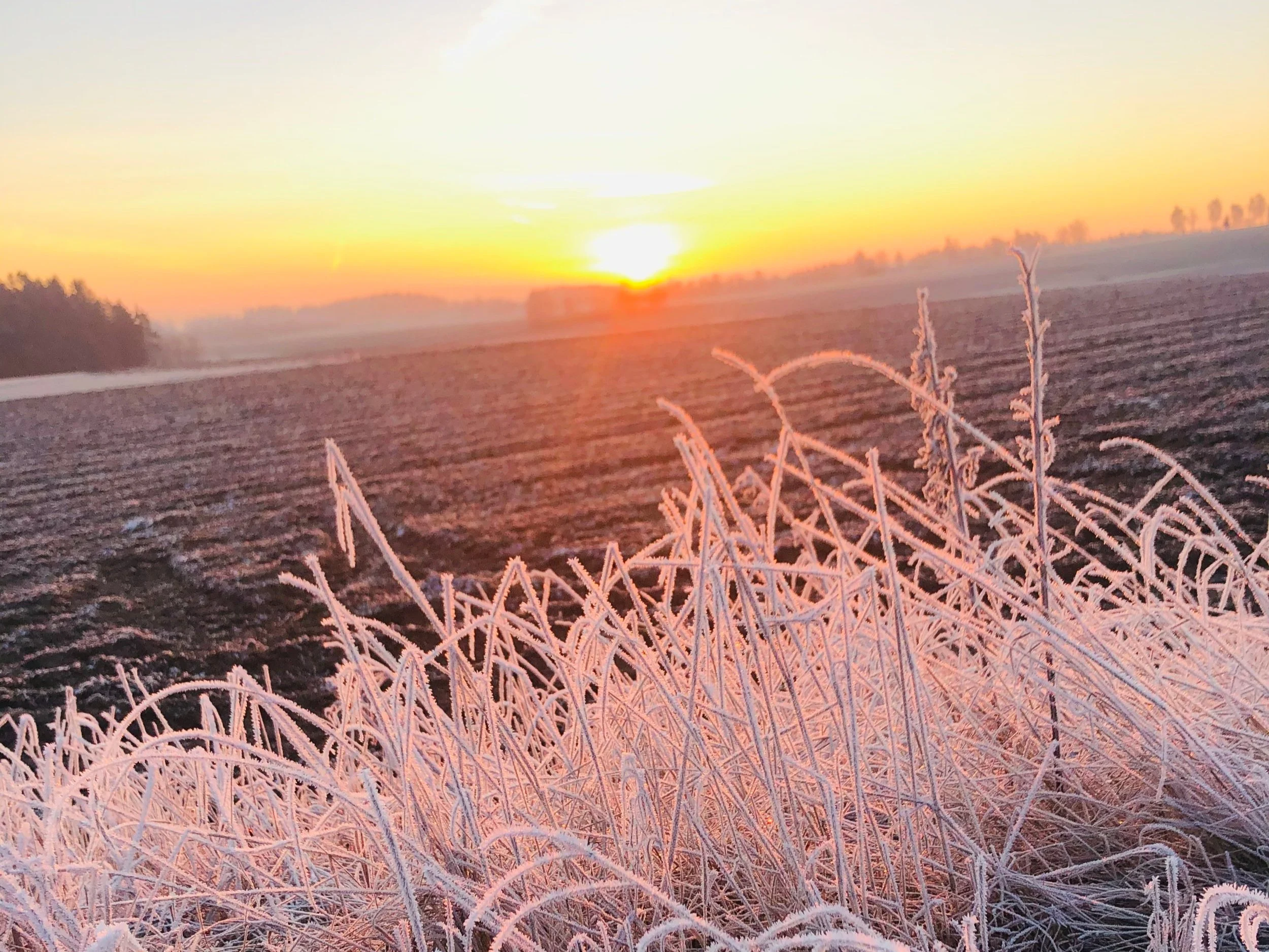 Winteryoga Mittelstufe - Online & vor Ort