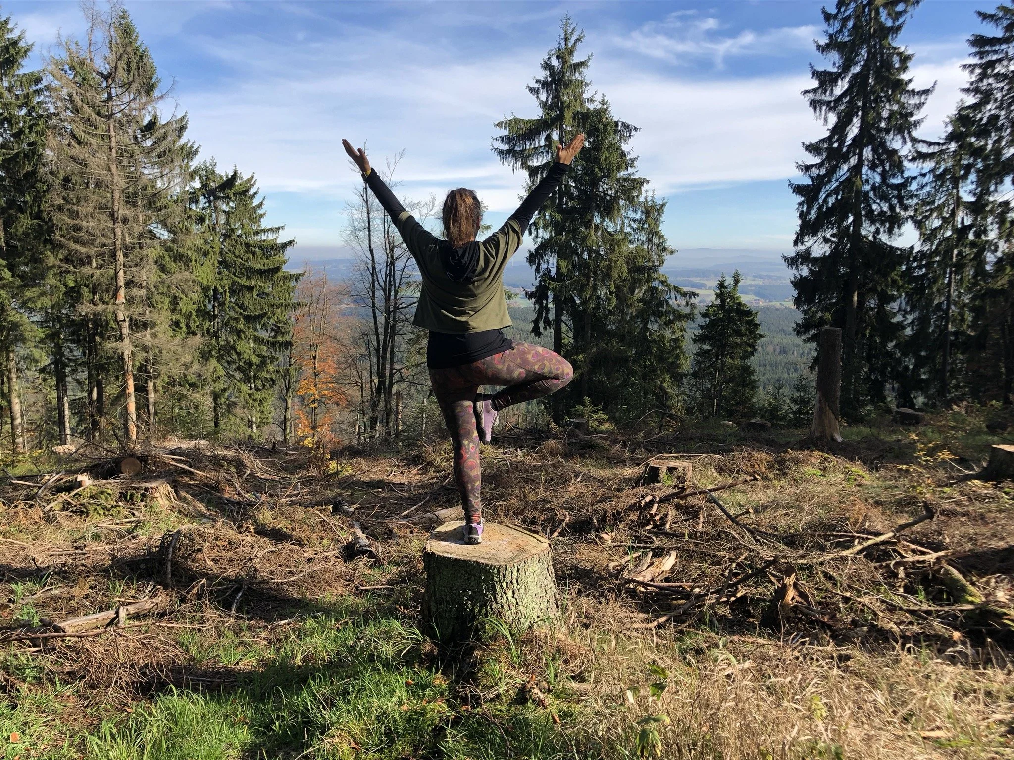 Yoga Anfängerkurs online &amp; vor Ort