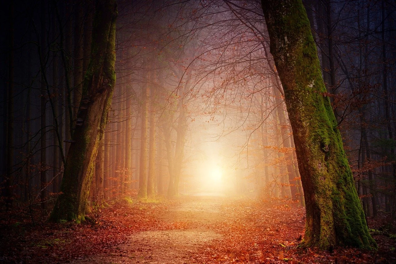 Herbstyoga Mittelstufe - online & vor Ort