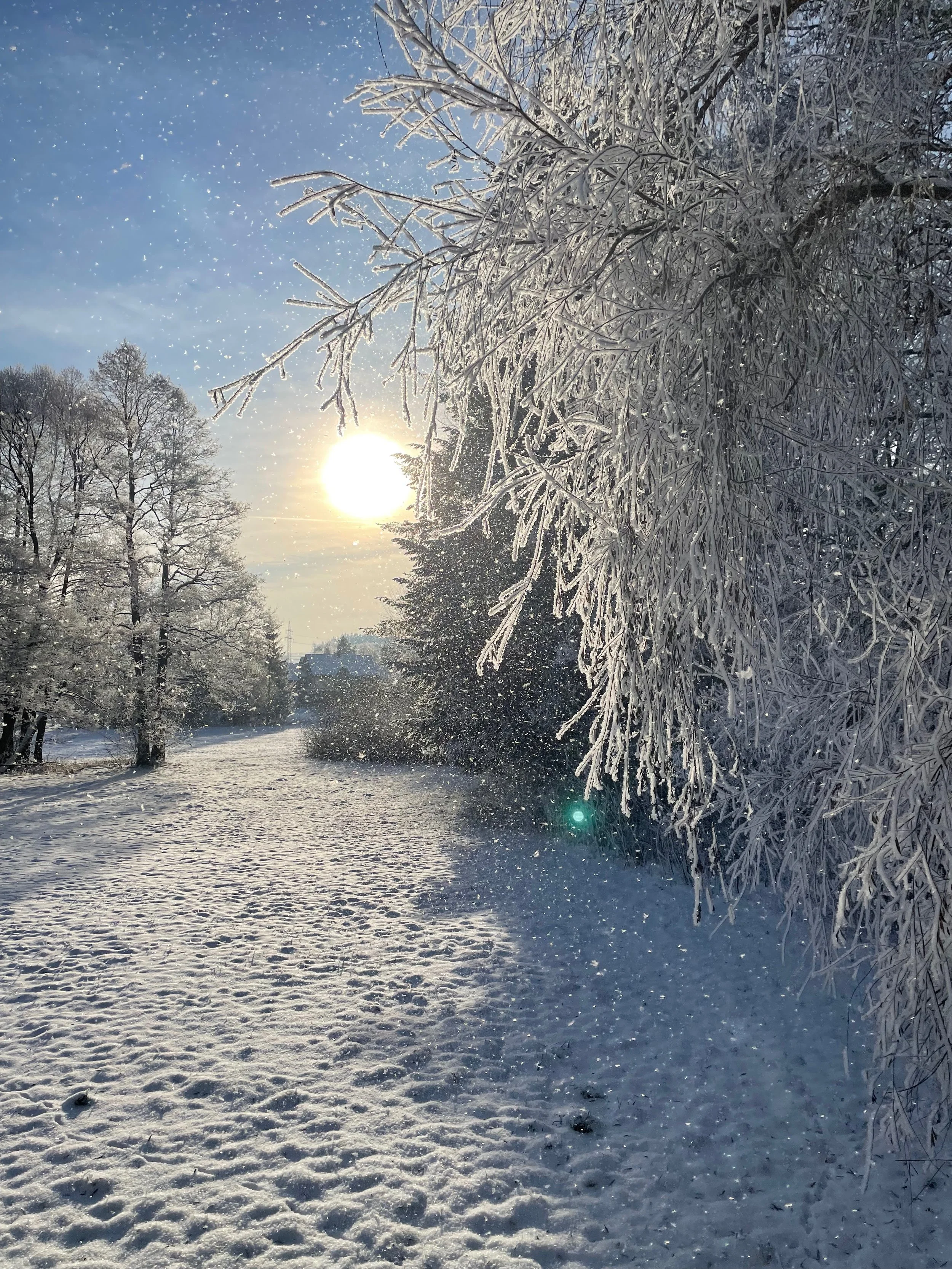 Winteryoga all Levels - online & vor Ort