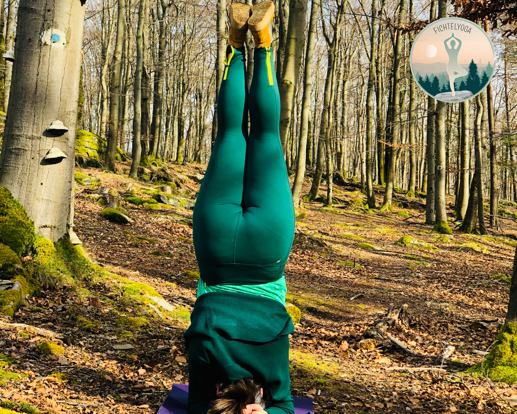 Herbstyoga Mittelstufe - online & vor Ort