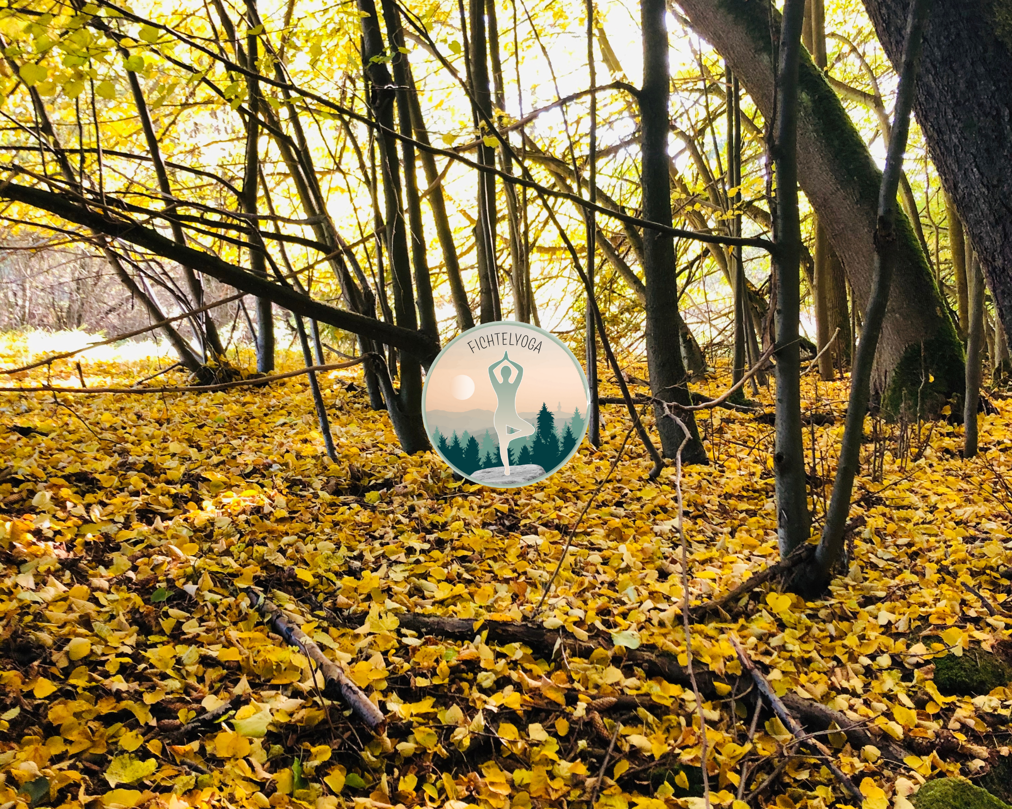 Herbstyoga sanft - online & vor Ort