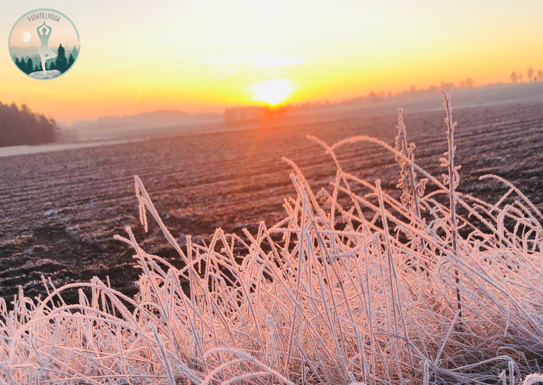 Präventionskurs: Winteryoga II - online &amp; vor Ort