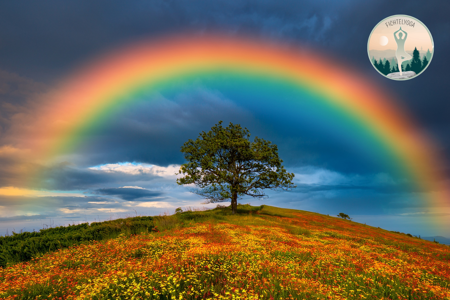 Chakra Yogakurs all Levels - online &amp; vor Ort