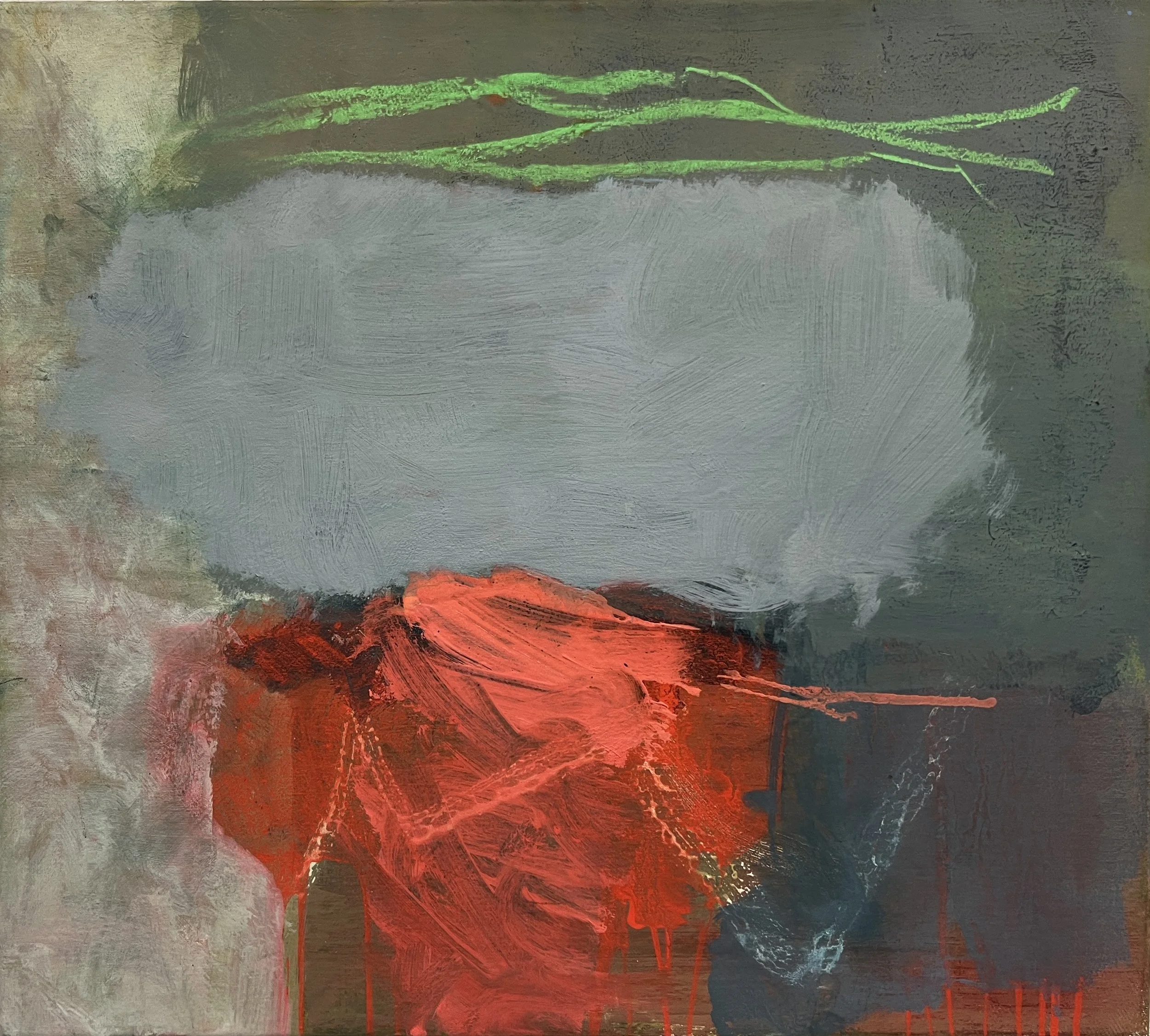 Freedomcarrier
50 x 46 cm
2026