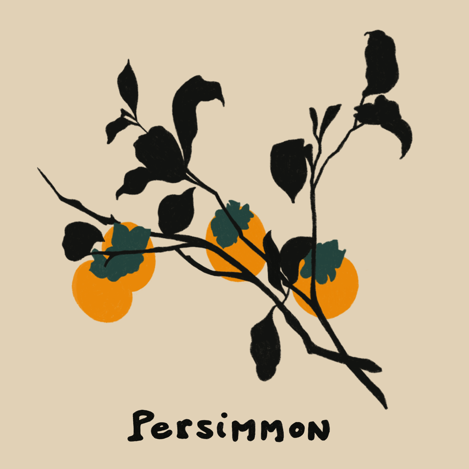 Illustration of a branch with dark leaves and three orange persimmons, with the word "Persimmon" written below.