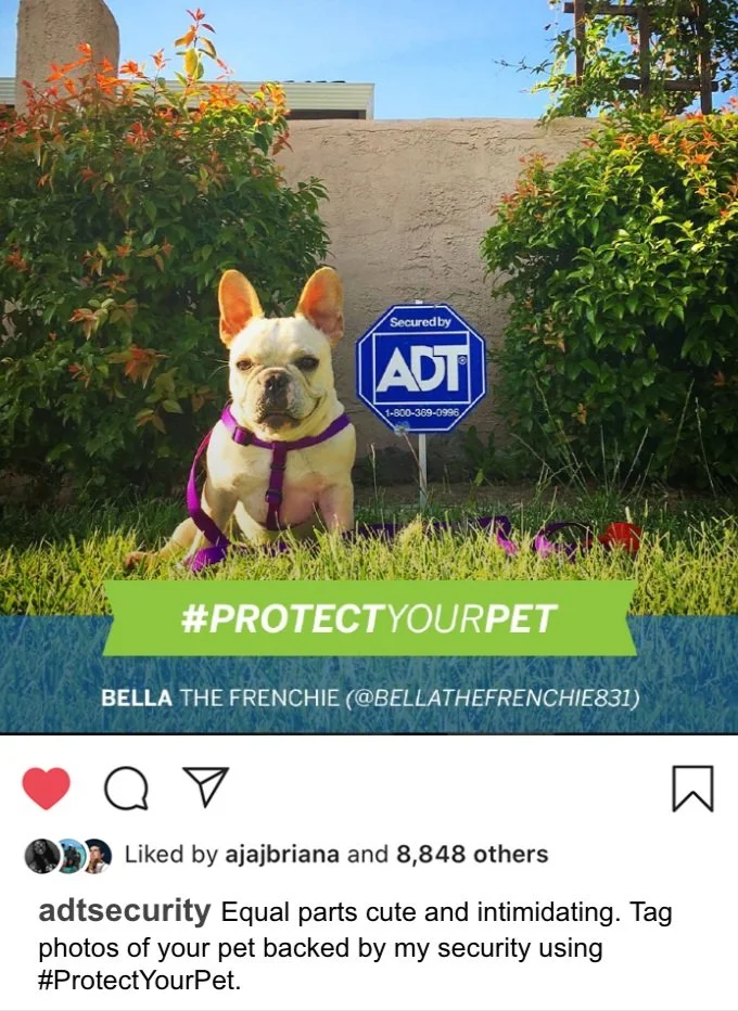 Screen Shot 2022-11-16 at 2.17.50 PM.jpg