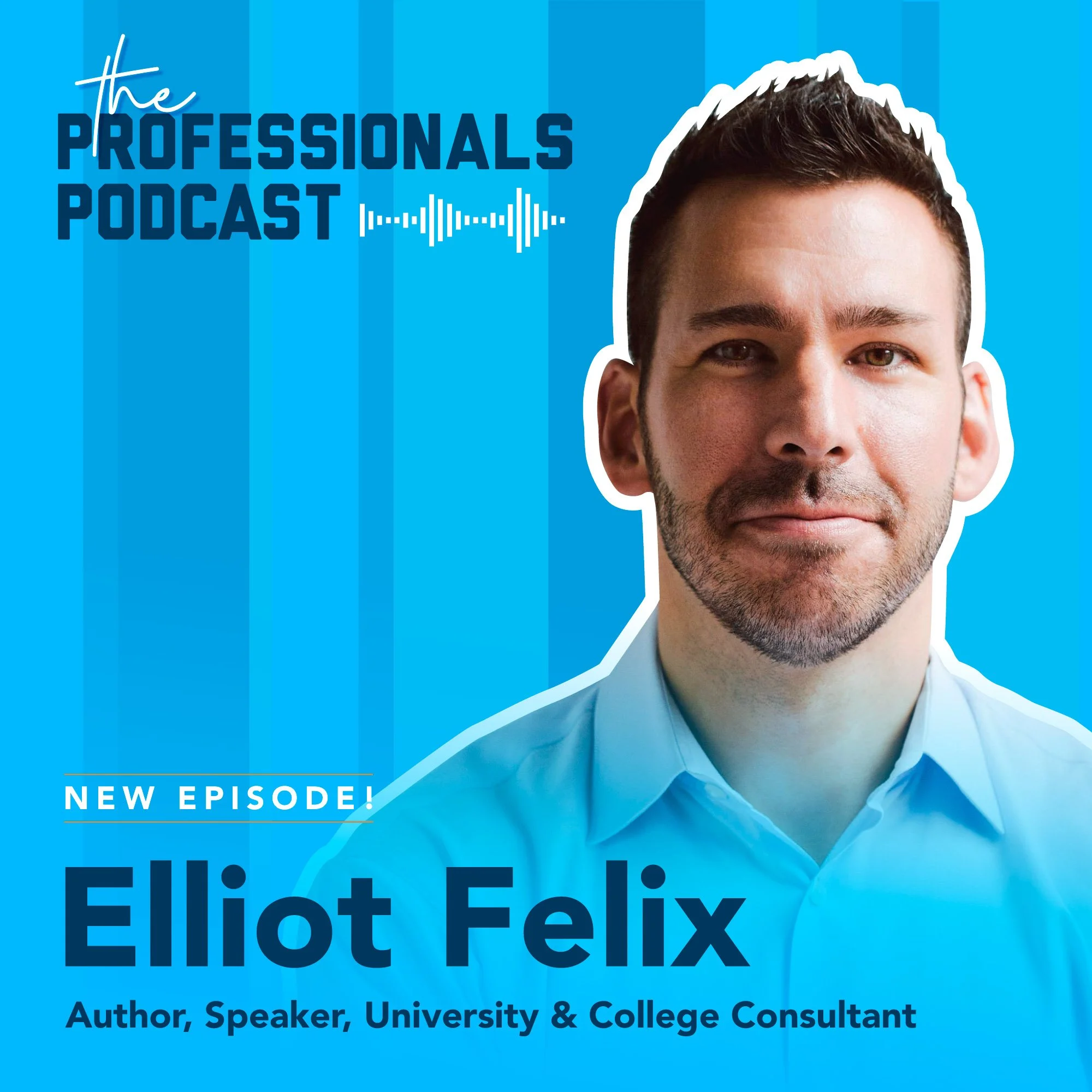 The Professionals Podcast 