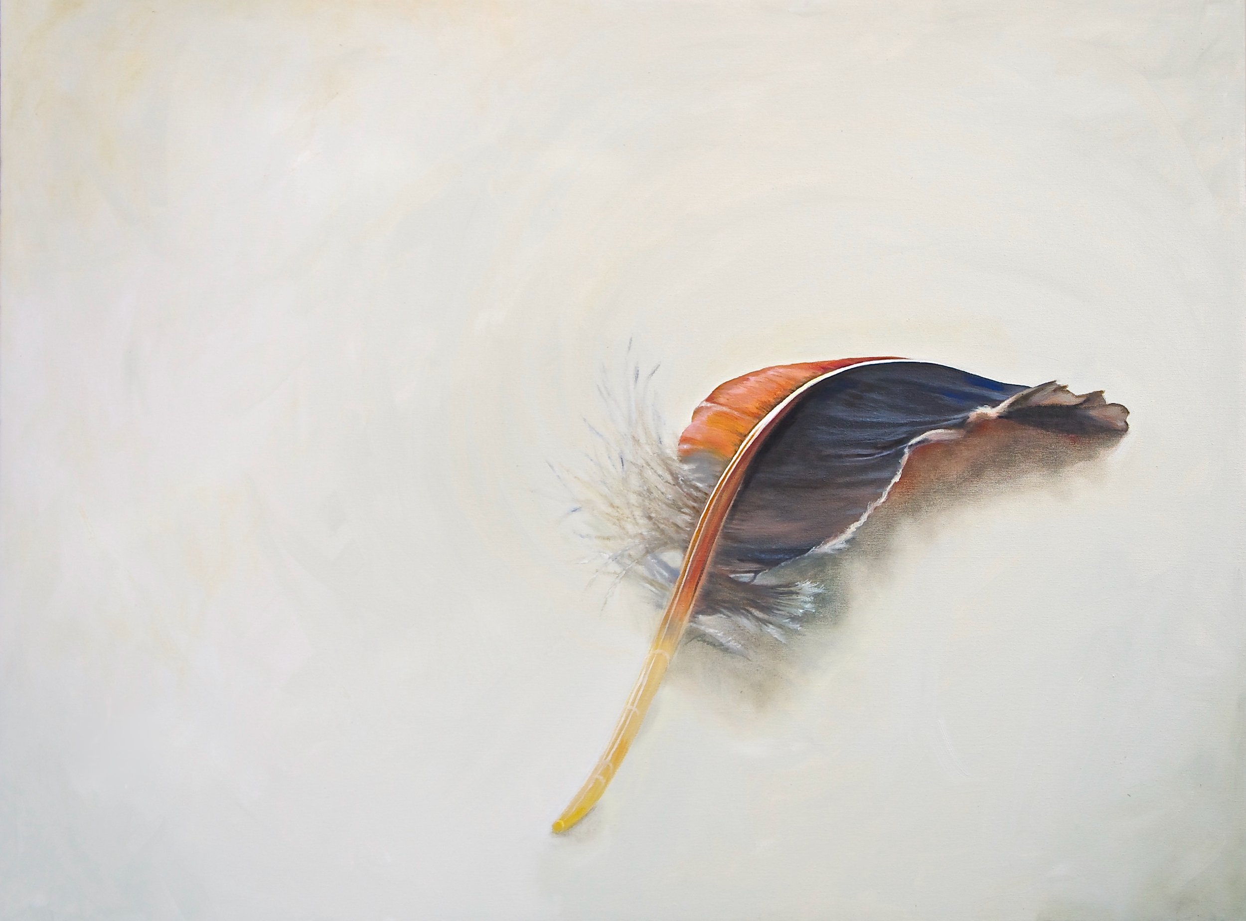 Flight Feather, 36" x 48", Oil on canvas
