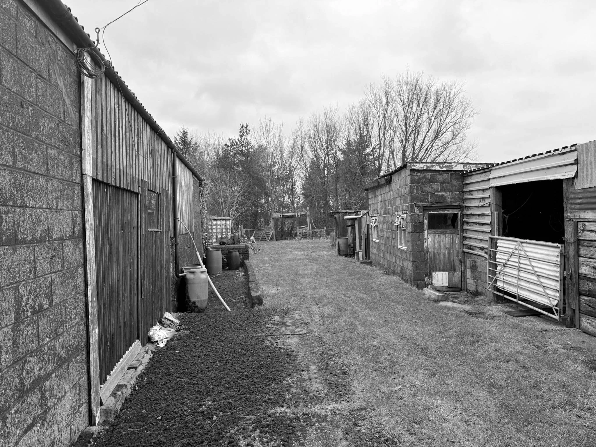 Langsett View Site Before the derelict barns Yard