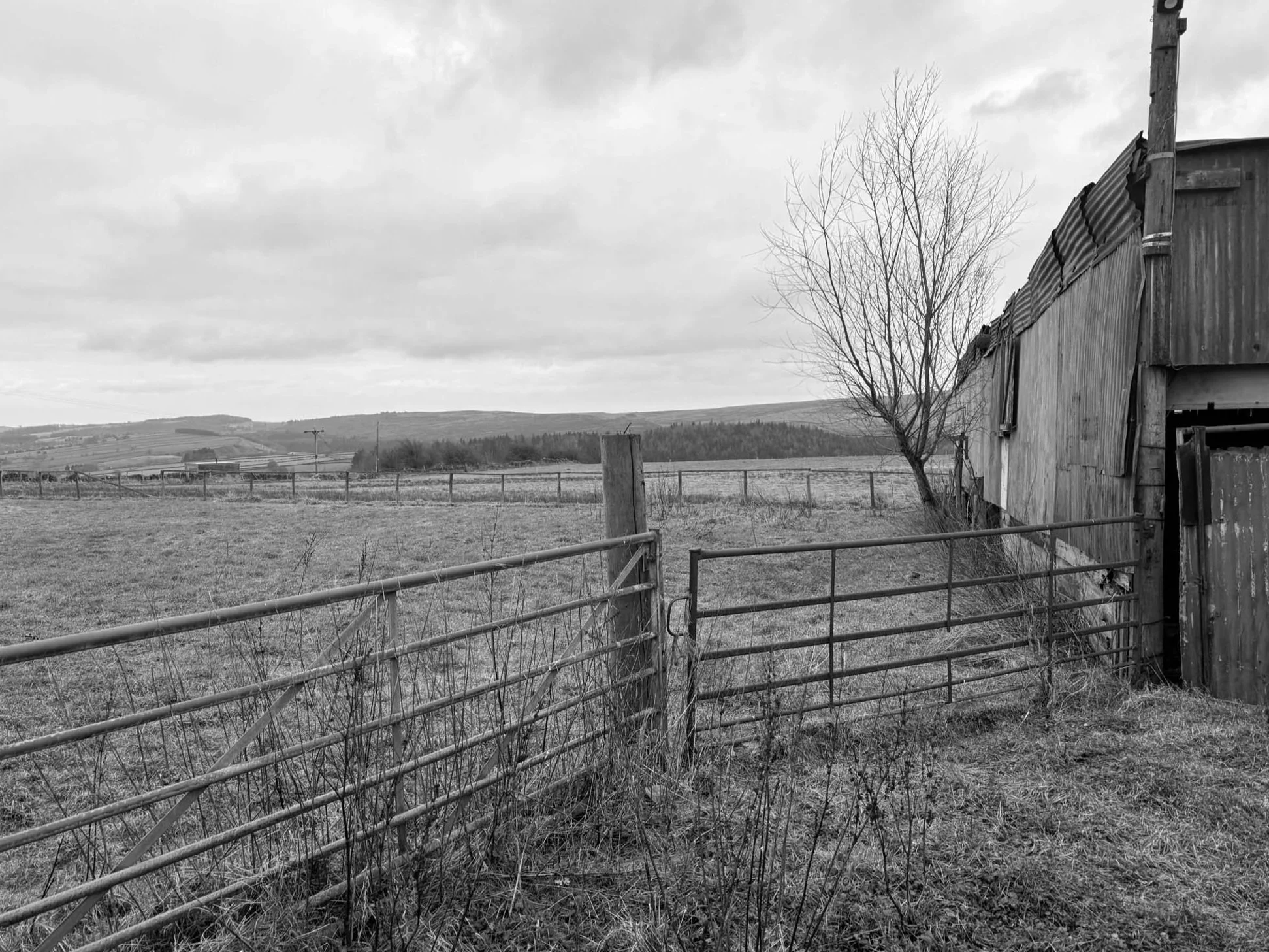 Langsett View Site Before the derelict barns View