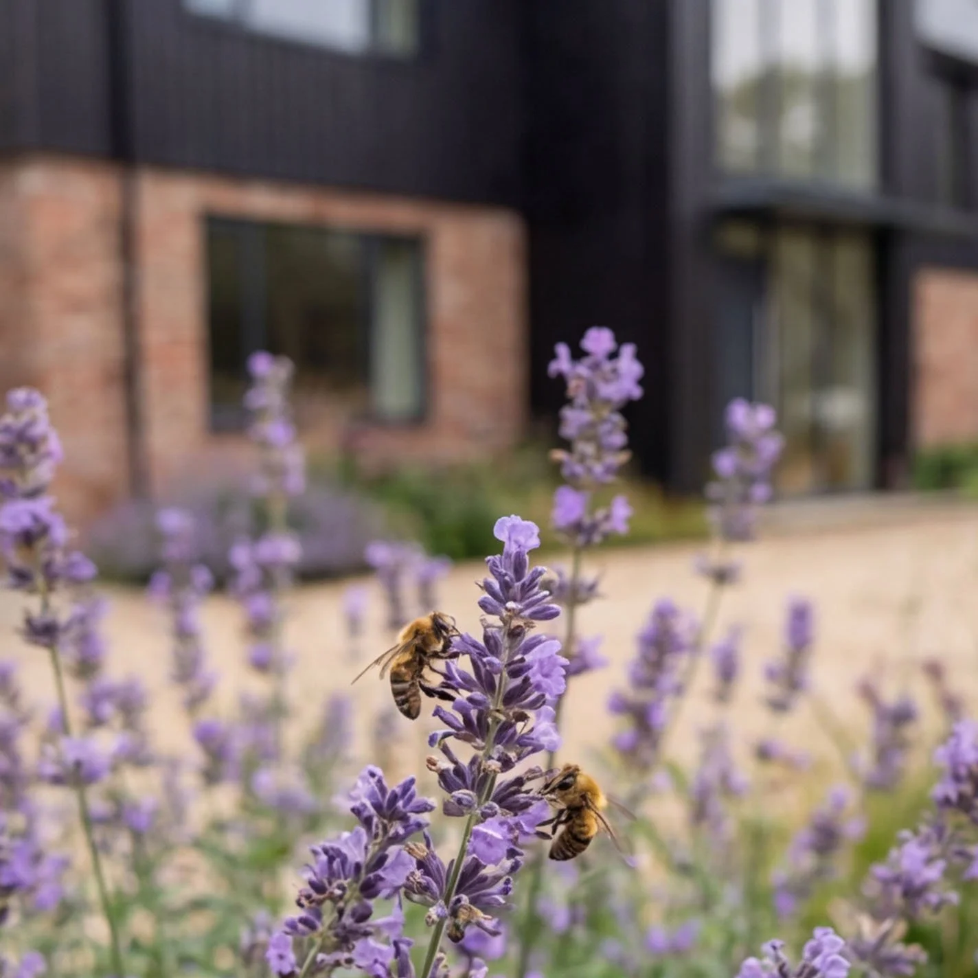 The Lodge Detail Bees