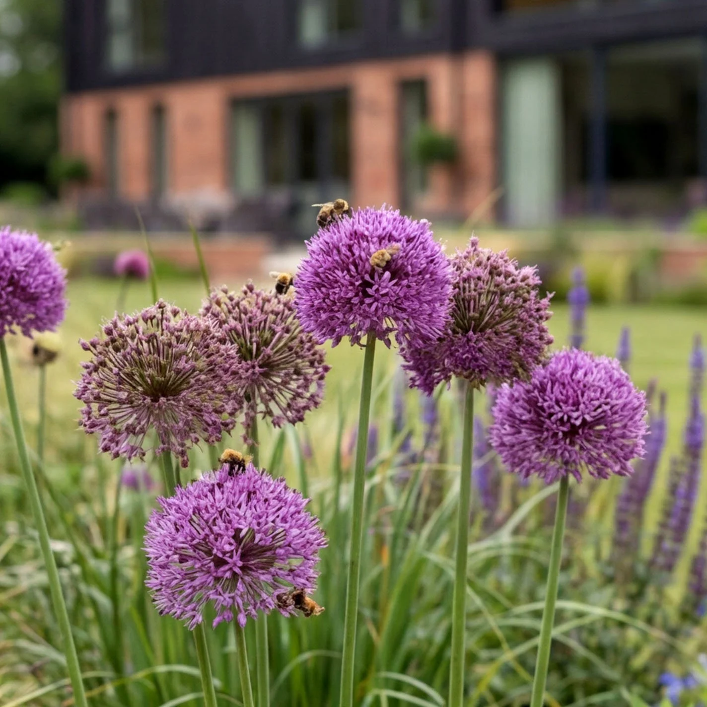 The Lodge Detail Flowers