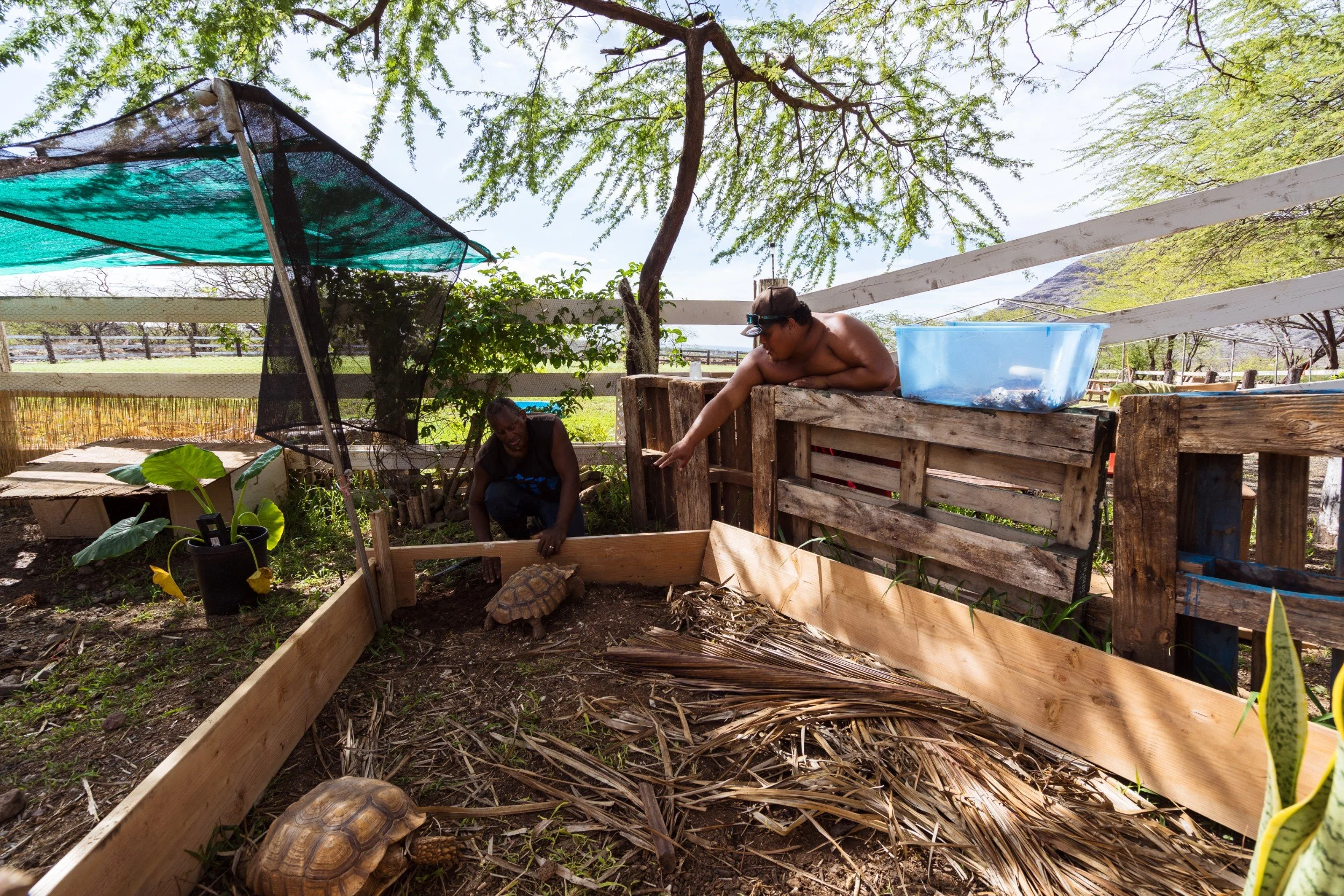 HomeAid® Hawaii Building A Future Without Homelessness