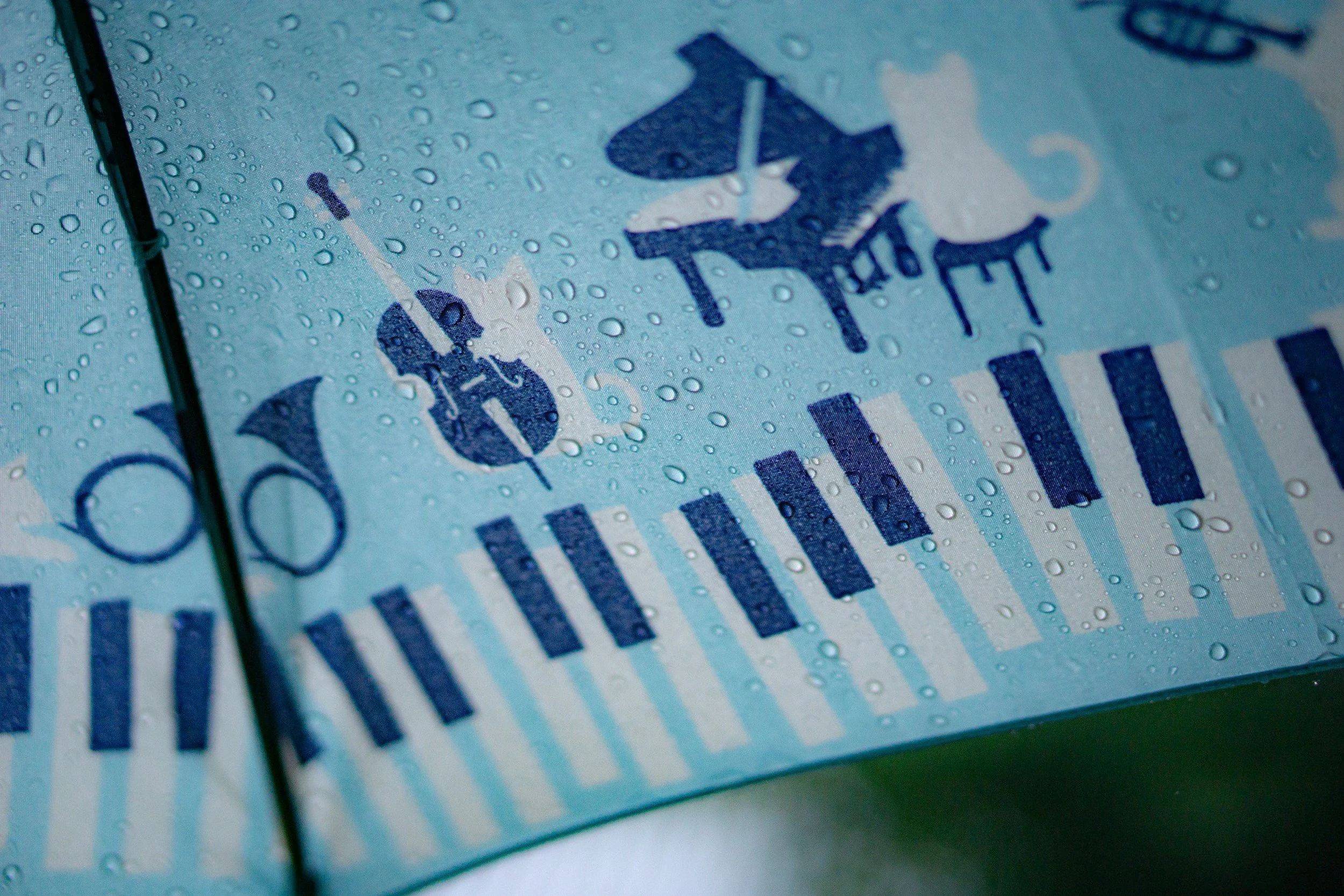 BCCM April Open Mic!