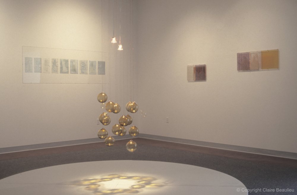  
 In vivo 
 Boules de verre soufflé, suspendues et éclairées | Dimensions variées | 1999
 
Présentée au Roswell Museum and Art Center lors de l’exposition solo Chambre des fragilités au Nouveau Mexique, États-Unis en 2001 | Présentée  aussi à Galeri