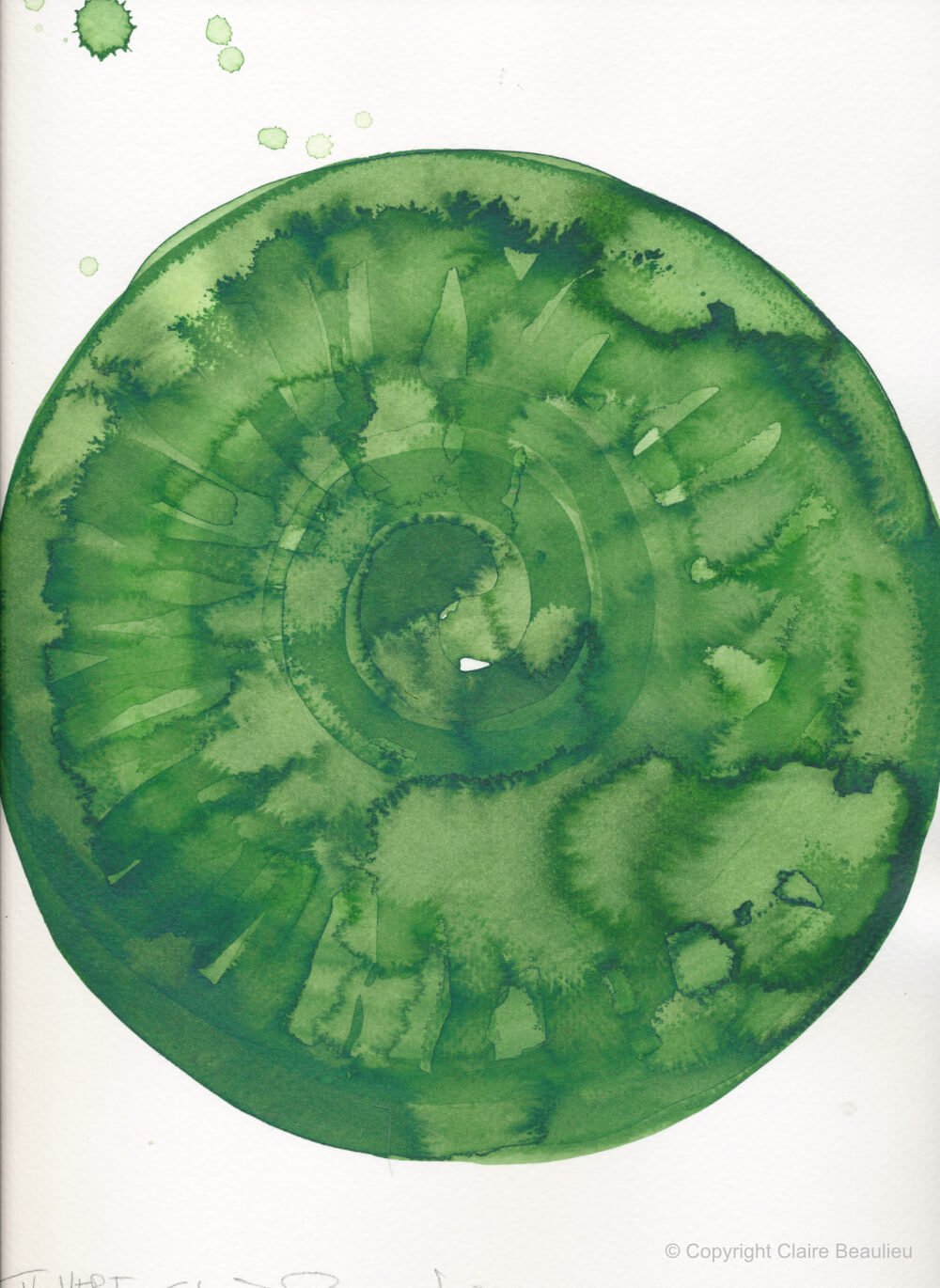  
 Vert V 
 Ink, 30.5 x 23 cm | 2020
 