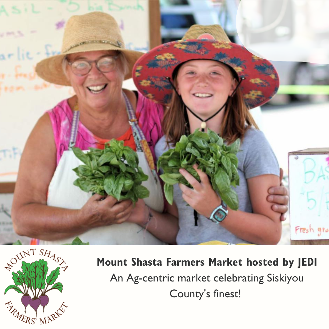 Mount Shasta Farmers Market — JEDI