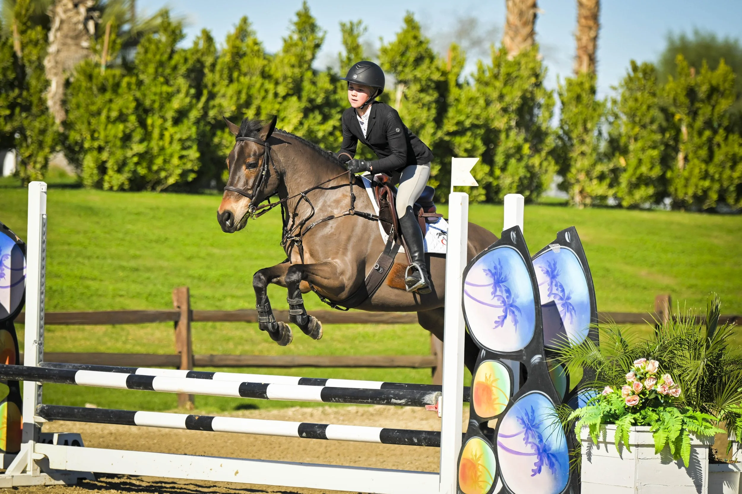 A person riding a horse outside, seen from inside through an open sliding glass door, with a dog lying in the shade on the porch, a vehicle and mountains in the background.