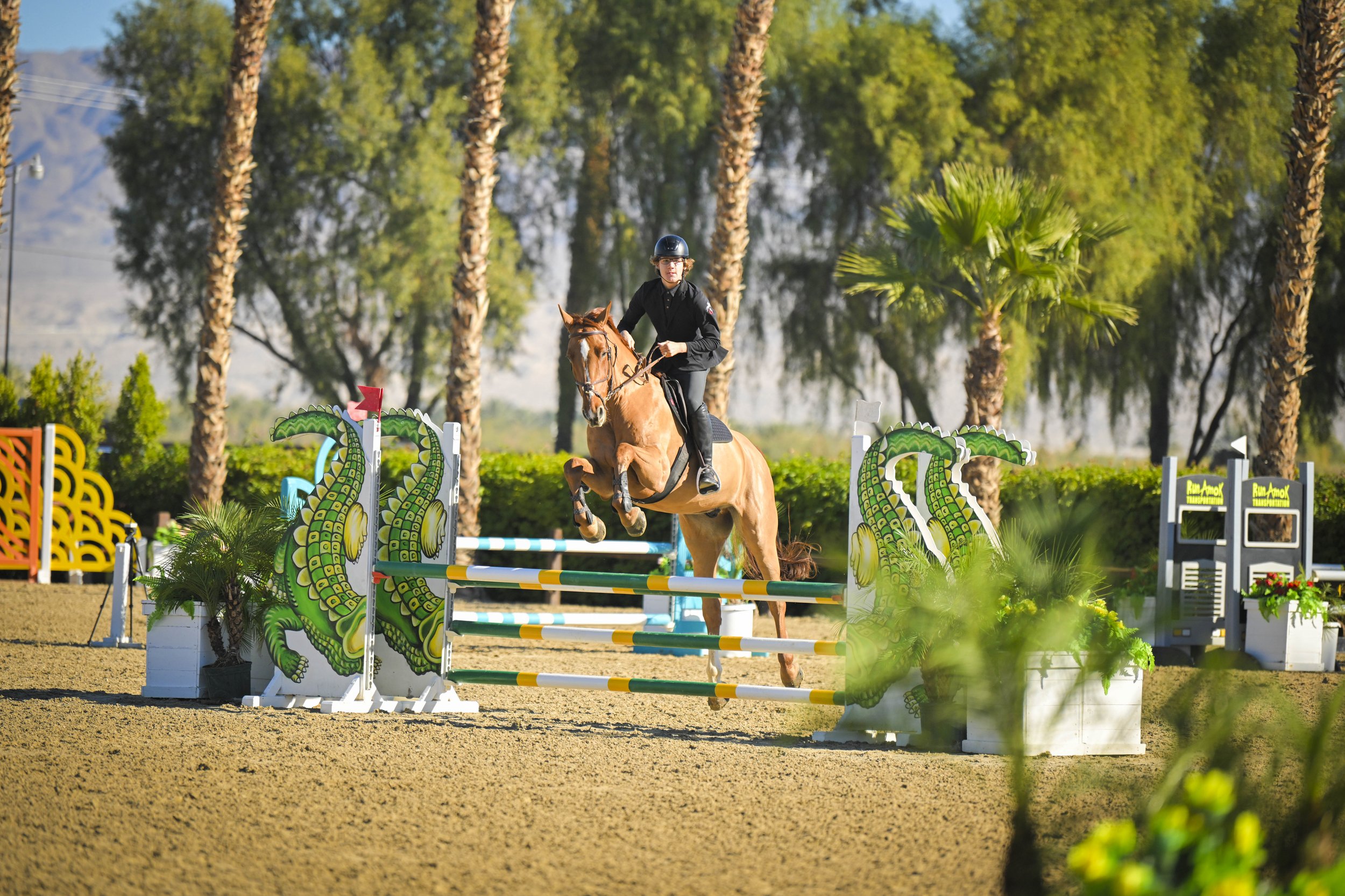 Chestnut horse jumping surrounded by trees