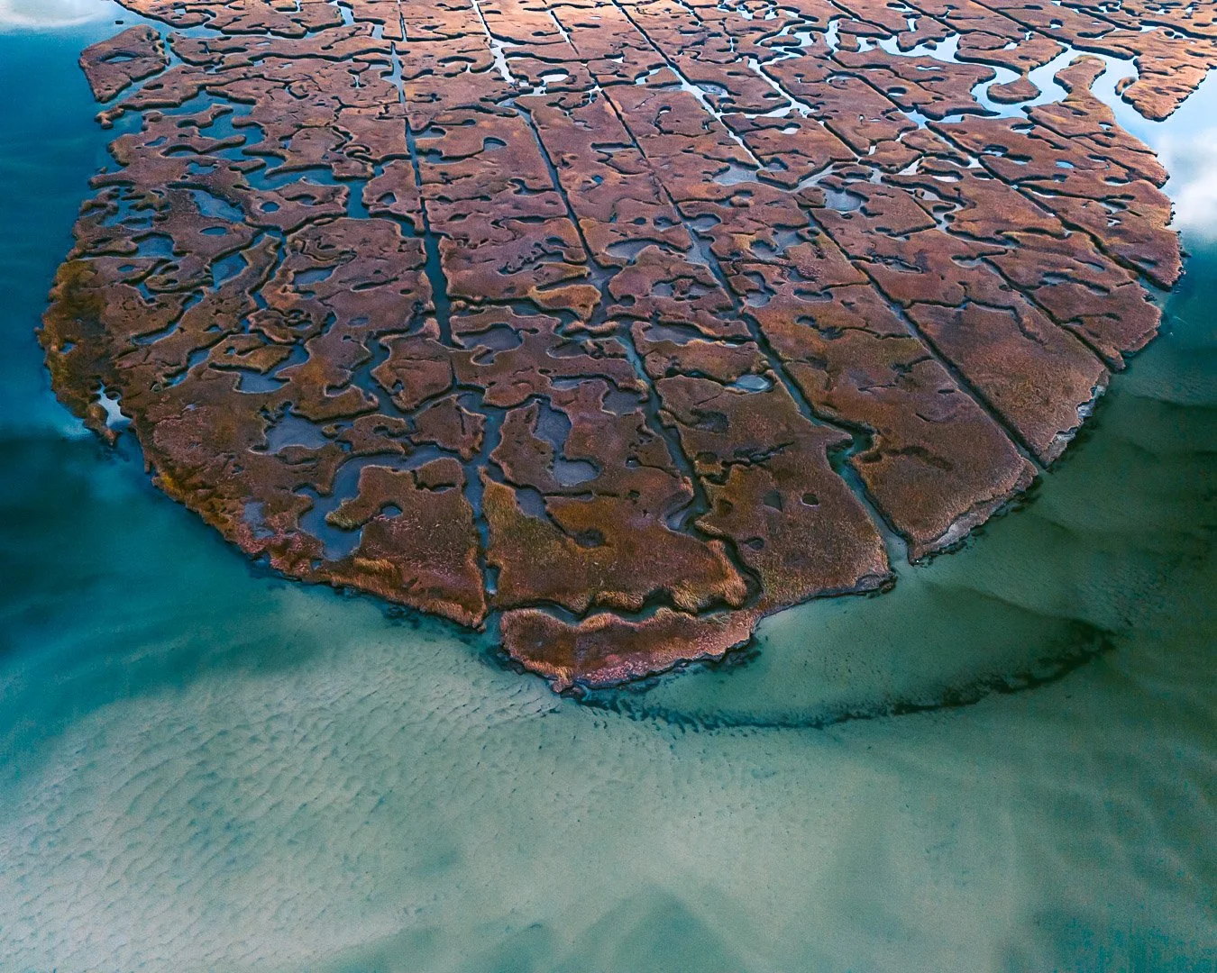 Salt Marsh | Yarmouth, MA