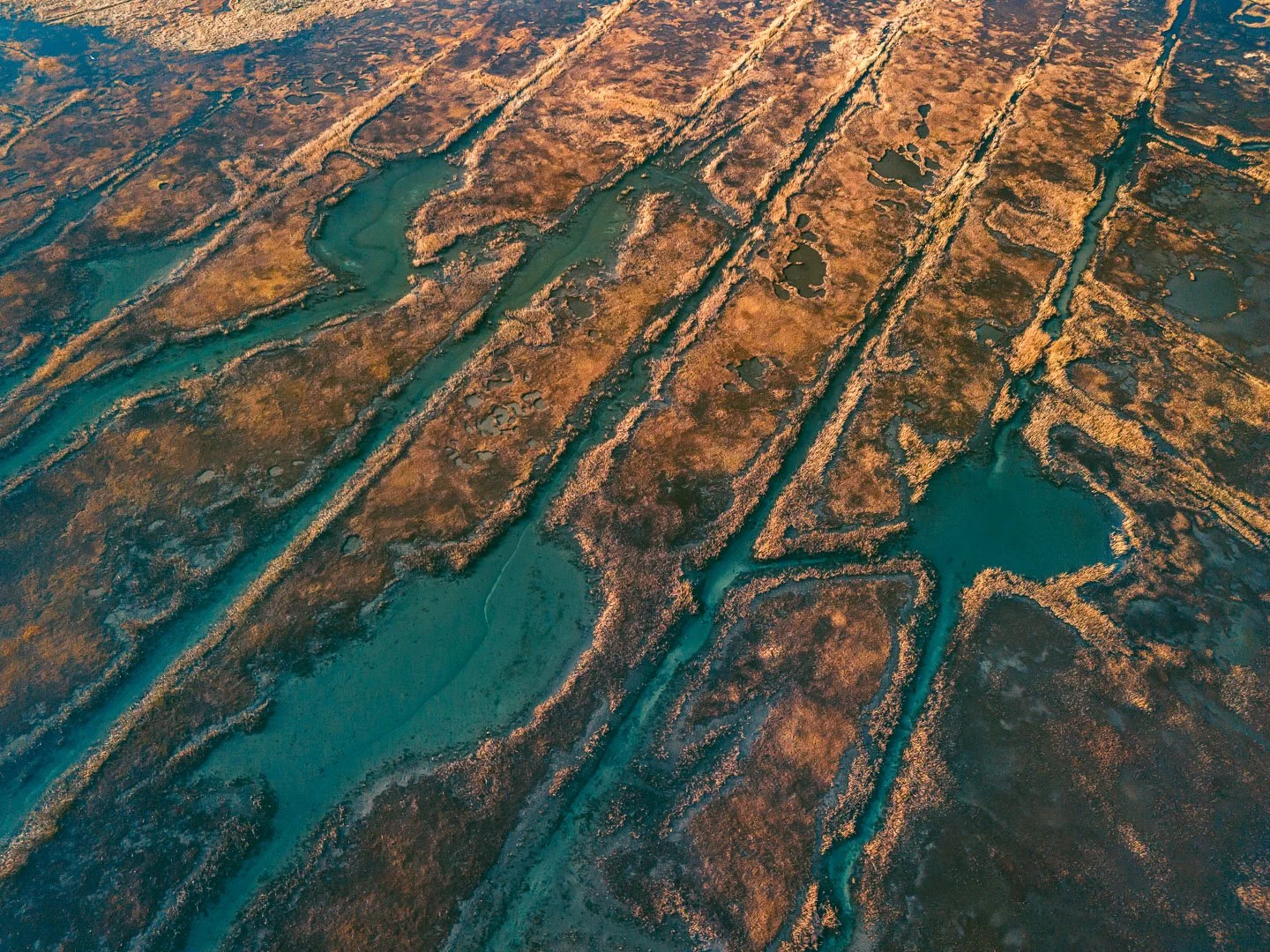 Salt Marsh | Yarmouth, MA