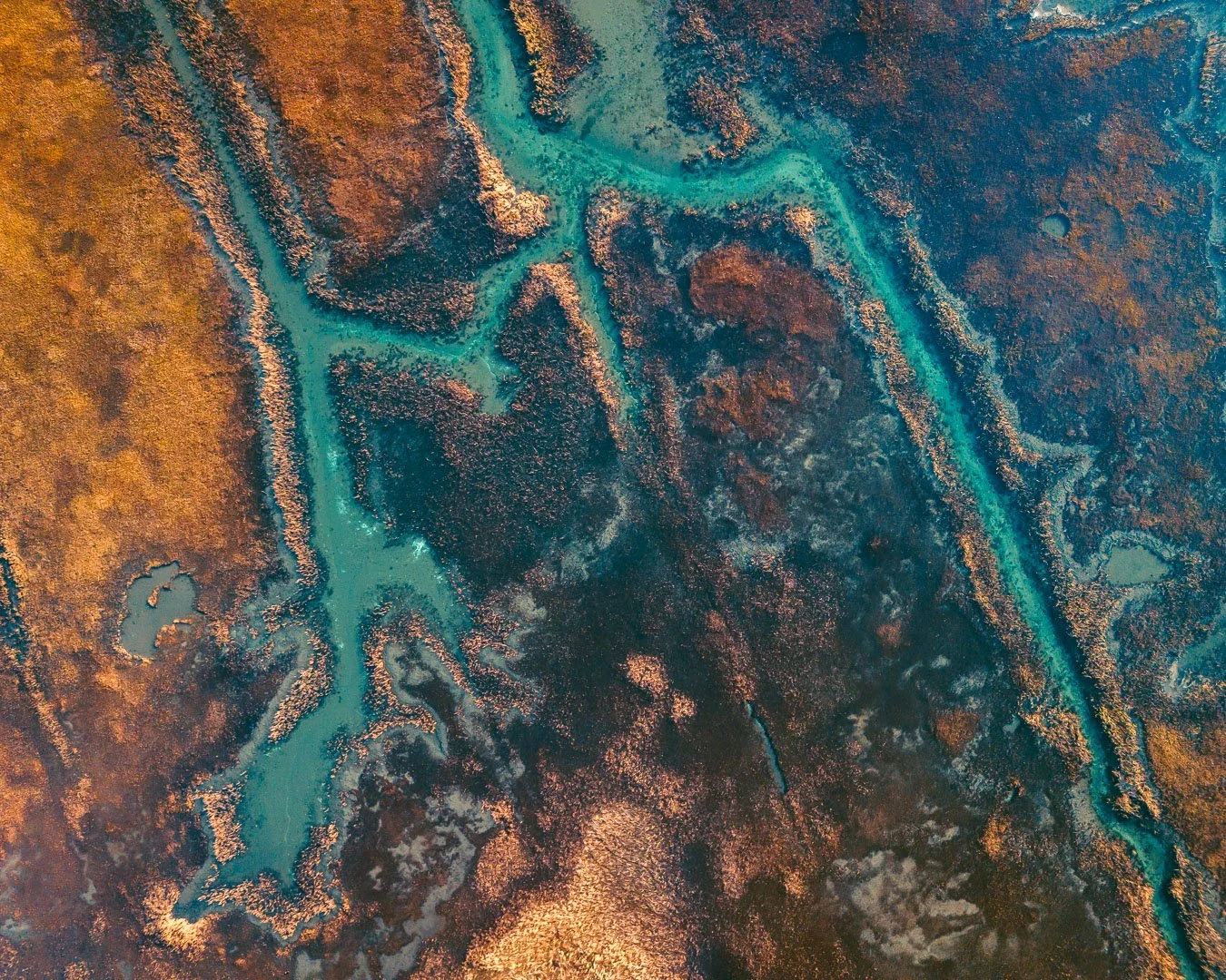 Salt Marsh | Yarmouth, MA