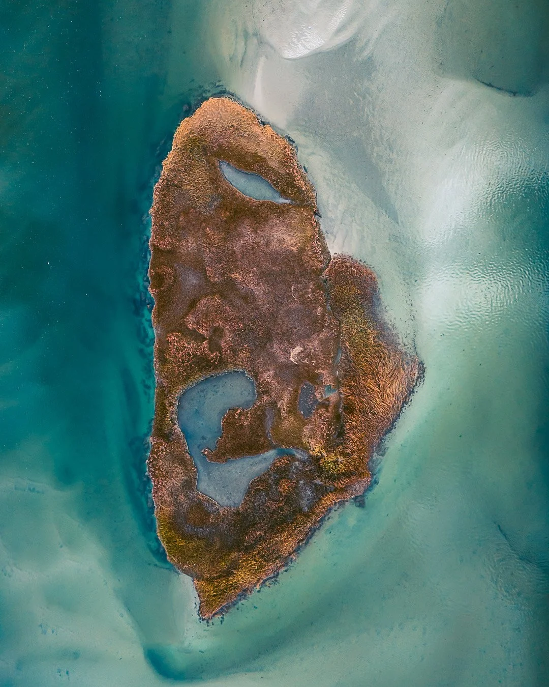 Salt Marsh | Yarmouth, MA
