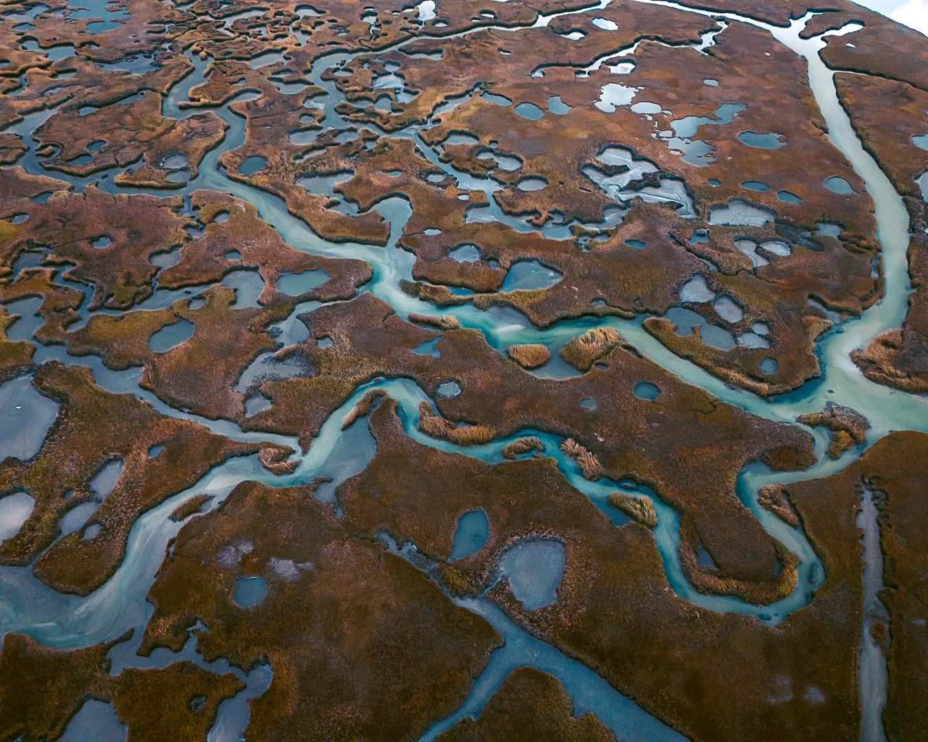 Salt Marsh | Yarmouth, MA