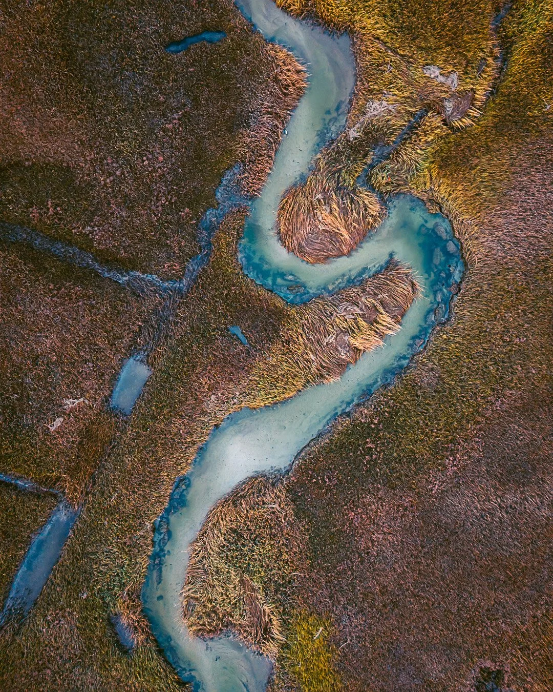 Salt Marsh | Yarmouth, MA