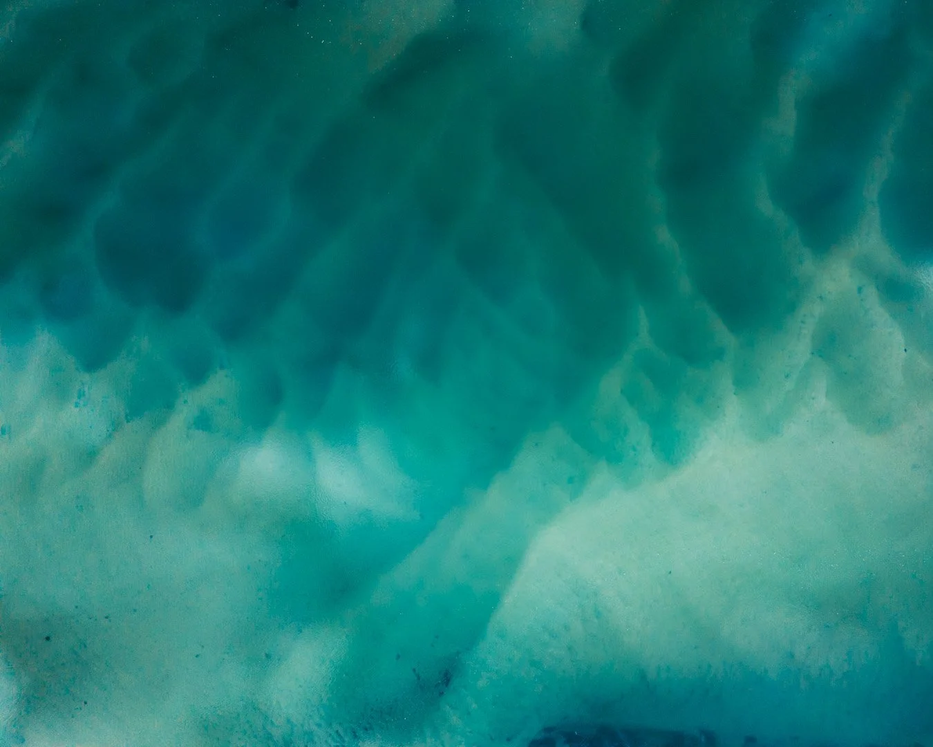 Salt Marsh | Yarmouth, MA