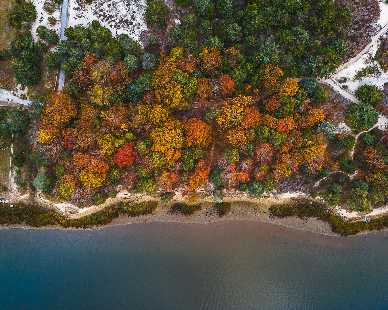 Foliage -  Long Beach | Centerville, MA