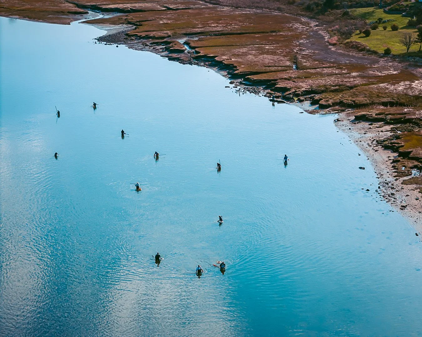 Digging for Quahogs - Barnstable Harbor | Barnstable, MA