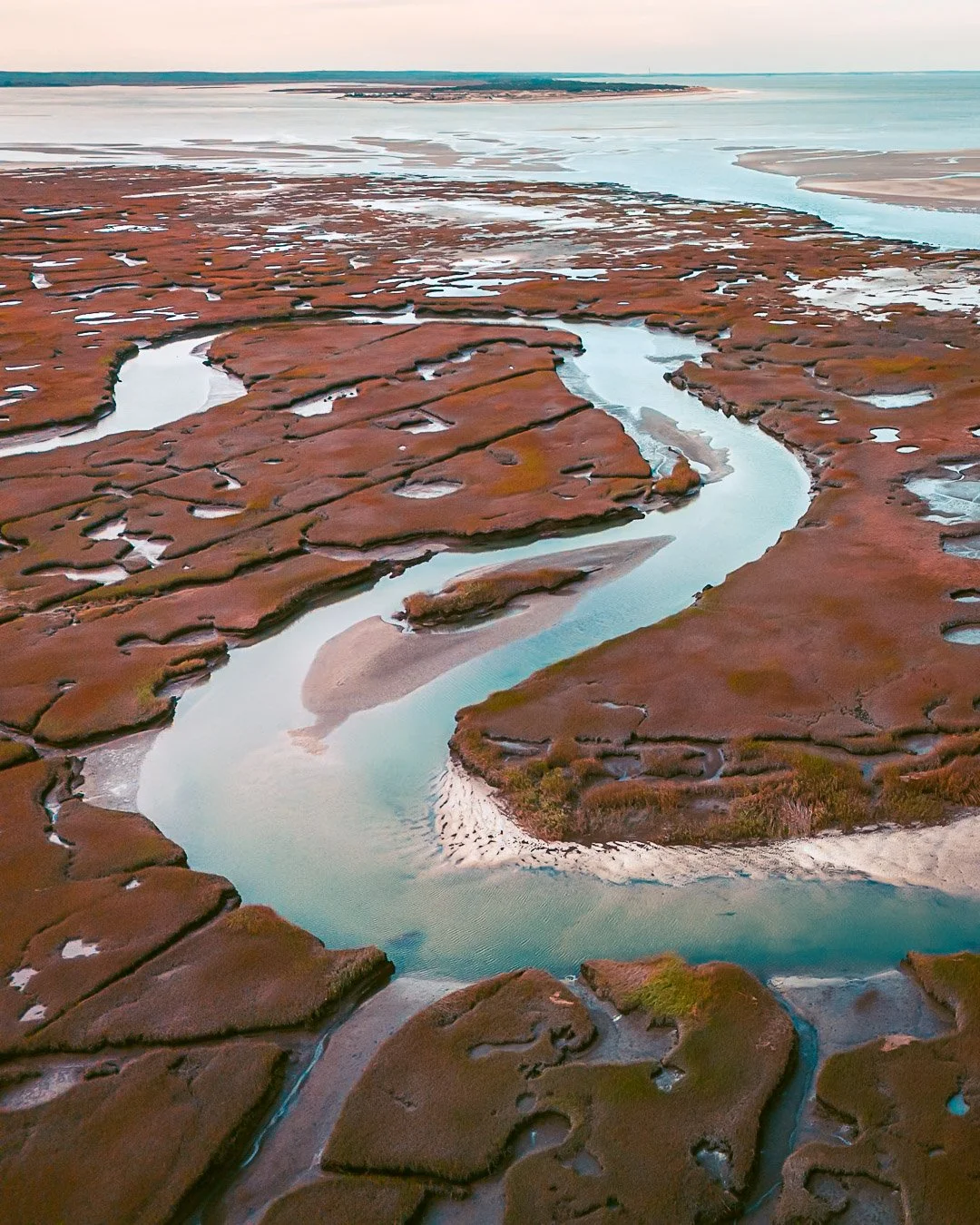 Salt Marsh | Yarmouth, MA