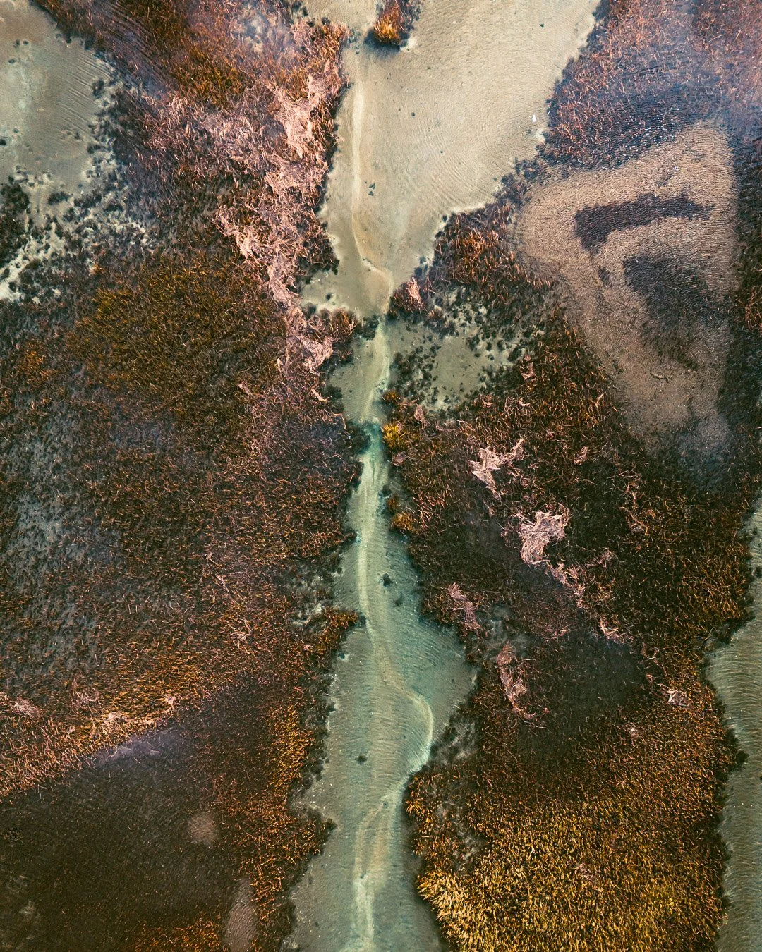 Salt Marsh | West Dennis, MA