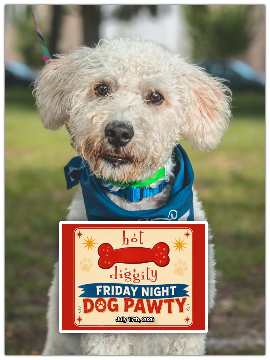 Hot Diggity and Naukabout Dog Party - Jul 17