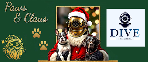 Dive -  Paws and Claus 2025